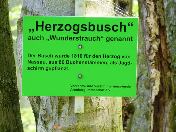 herzogsbusch b