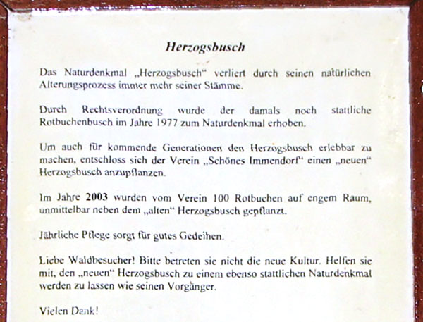 herzogsbusch d